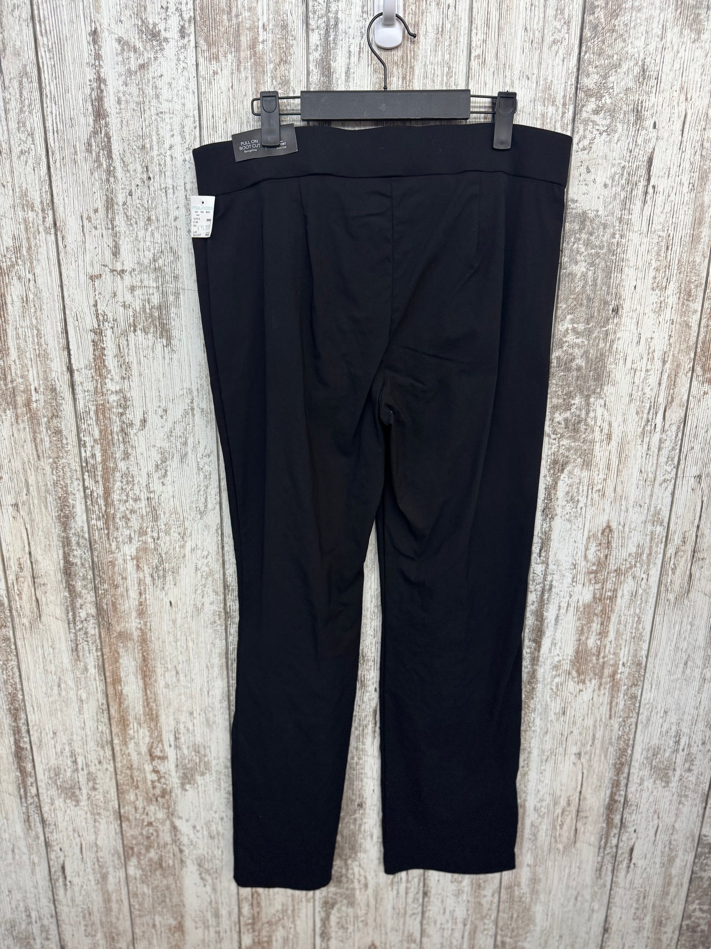 L - Short - Maurices Boot Cut Dress Pants