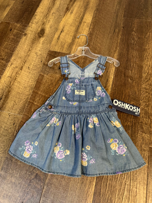 18M Oshkosh Bib Dress