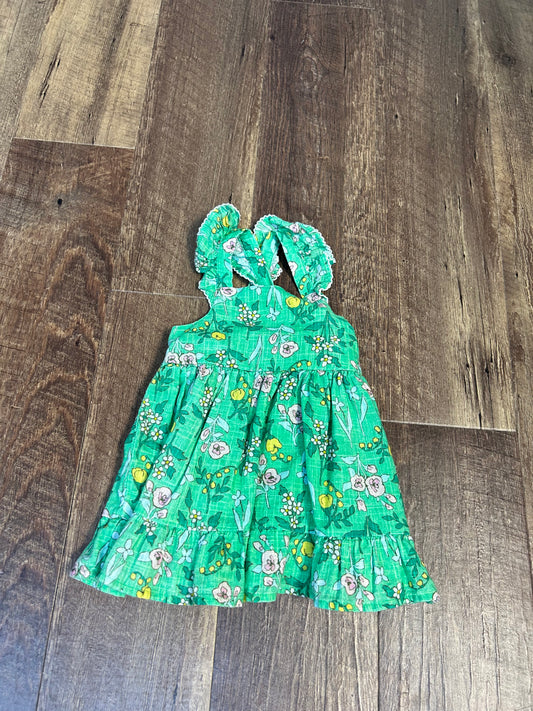 12M Cat&Jack Dress