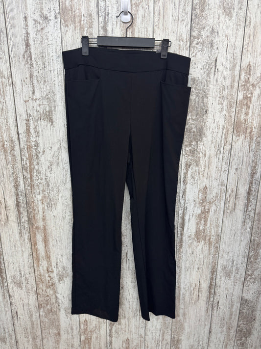 L - Short - Maurices Boot Cut Dress Pants